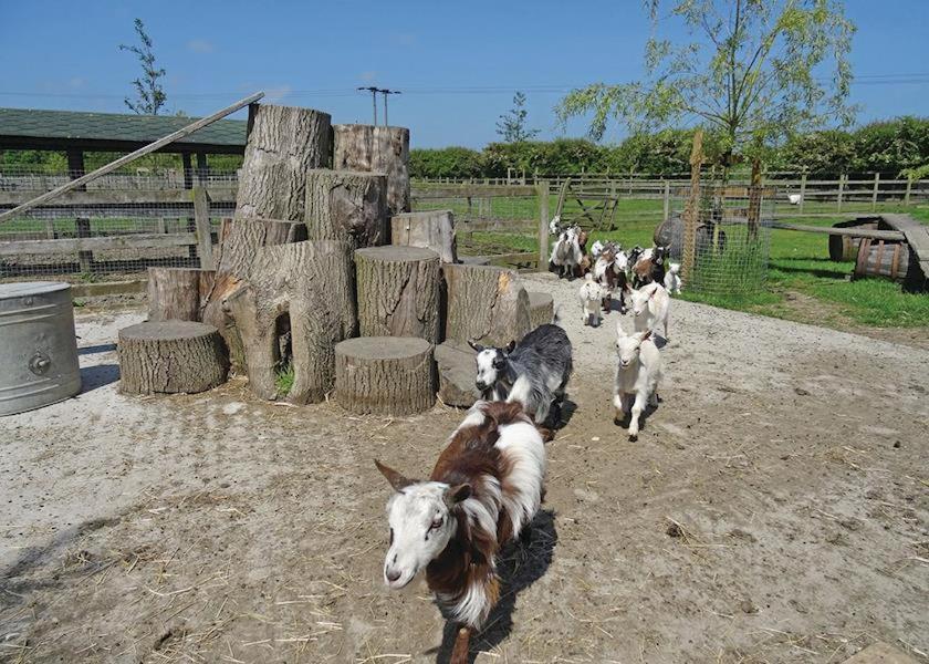 ホテル Barmston Farm キングストン・アポン・ハル エクステリア 写真