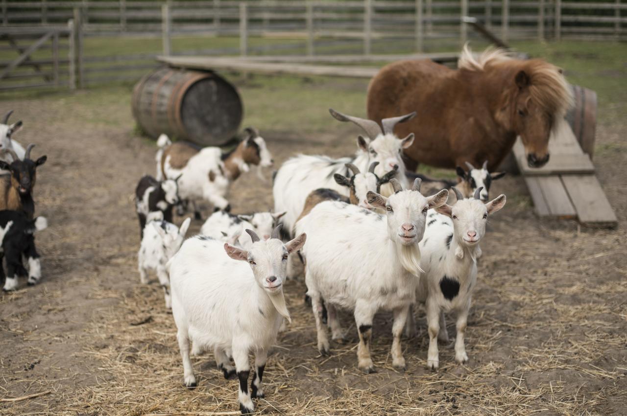 ホテル Barmston Farm キングストン・アポン・ハル エクステリア 写真