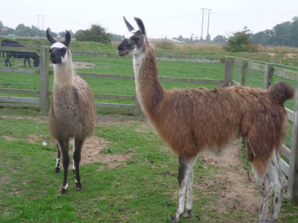 ホテル Barmston Farm キングストン・アポン・ハル エクステリア 写真